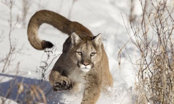 Gallery – Weekly New Photos!